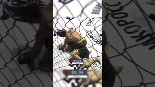 Азизбек Темиров shortvideo boxing mmaufc мма video daxshatmma sports ufc [upl. by Iv661]