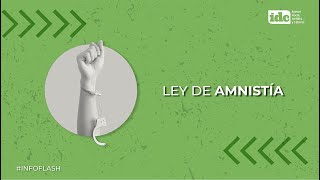 Ley de amnistía [upl. by Koffler728]