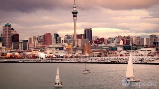 Auckland  City Video Guide [upl. by Hebner]