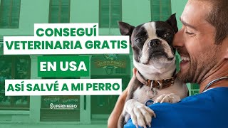 🐶 mejores VETERINARIAS en USA 🇺🇸 GRATUITAS y de bajo COSTO 🐱 [upl. by Alcott]