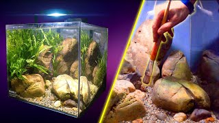 Making a Stream Aquarium Low Tech Aquascape [upl. by Ttenneb601]