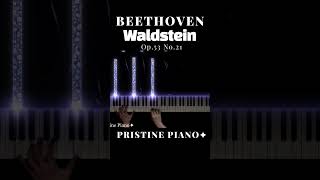 Beethoven  Waldstein sonata 1st shorts [upl. by Lrem]