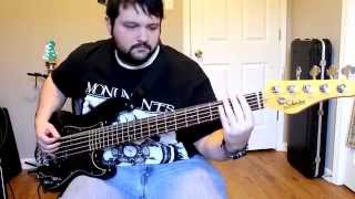 Daddario NYXL Bass Strings Beta Sample Review [upl. by Earal340]