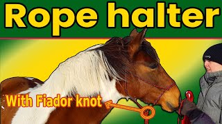 Make a ROPE HALTER for a horse with FIADOR knot Step by step tutorial 2024 [upl. by Jolie]