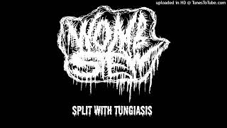 Womb Stew  Split w Tungiasis [upl. by Sivahc418]