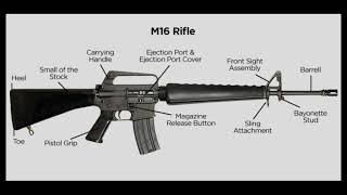 M16 Rifle Parts and Functions [upl. by Xuerd745]