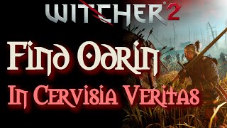 The Witcher 2 In Cervisia Veritas Odrins Location [upl. by Nadbus]