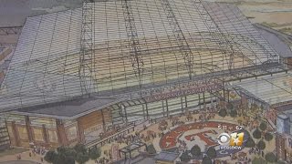 Arlington Voters Deciding On New Baseball Stadium [upl. by Laise749]