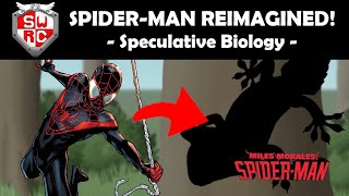 SpiderMan Miles Morales Spec Evo Reimagining [upl. by Nioe207]