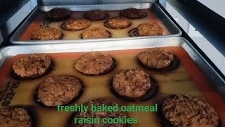 shorts Oatmeal raisin cookies 🍪🍪🍪🍪🍪🍪🍪🍪🍪🍪🍪 baking process 🍪🍪🍪🍪 [upl. by Assile]