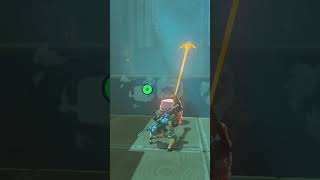 Breath Of The Wilds Forgotten Temple letsplay zelda gaming [upl. by Teuton]