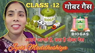 Microbes In Human Welfare  Bio Gasगोबर गैसClass 12  Imp Topic for UP amp Cbse BoardByJyoti👍 [upl. by Airom741]