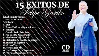 FELIPE GARIBO  15 Grandes Exitos Que Impactaran Tu Vida [upl. by Newcomer]