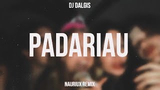 Dj Dalgis  Padariau  NAURIUX REMIX [upl. by Tsenre87]