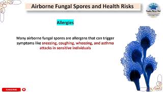 Airborne Fungal Spores and Health Risks mycology microbiology raqbamicrohub sporeformation [upl. by Uwkuhceki]