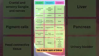 Fate of germ layers of embryo shorts lifescience biology neetbiology [upl. by Nomal]