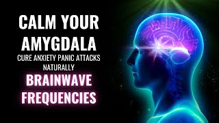 Calm Your Amygdala  Cure Anxiety Panic Attacks Naturally  Brainwave Frequencies  Amygdala Music [upl. by Dublin260]