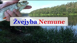 Žvejyba Nemune  Gabrielius Ser [upl. by Elcin]