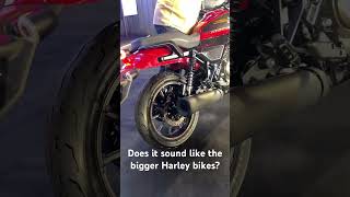 Harley Davidson X440 Exhaust Note 💨 [upl. by Clarkson131]