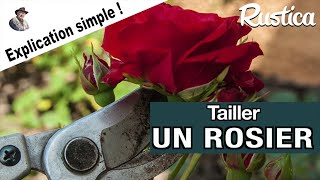 Comment tailler un rosier simplement [upl. by Nur373]