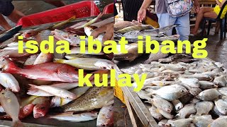 ibat ibang klase ng isda at ibat ibang color makikita mo guimaras fishing fishingport [upl. by Eelir]