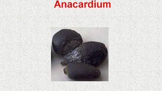 ANACARDIUM  ΑΝΤΙΜΕΤΩΠΙΣΗ ΟΞΕΩΝ ΚΑΤΑΣΤΑΣΕΩΝ ΜΕ ΟΜΟΙΟΠΑΘΗΤΙΚΗ [upl. by Haididej]