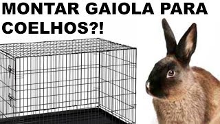 Como Montar uma gaiola de Coelhos [upl. by Hortense]