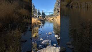 BlairsdenGraegle Bridge Graegle California shorts bridge historical river [upl. by Yankee]