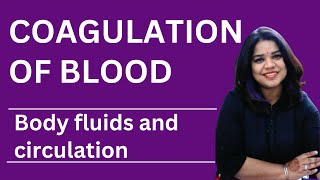 Understanding Blood Coagulation Key Concepts from NCERT Class 11 Biology [upl. by Cosma]