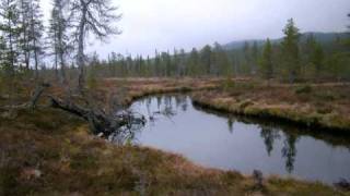 Gammal fäbodpsalm från Dalarna Old Pastoral Hymn from Dalarna [upl. by Moreen]