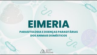 EIMERIASPP  PARASITOLOGIA E DOENÇAS PARASITÁRIAS DOS ANIMAIS DOMÉSTICOS [upl. by Oneal]