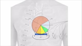Exkurs EKGVektoren [upl. by Enotna]