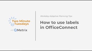 How to use labels in OfficeConnect  Workday Adaptive Planning [upl. by Notlrac]