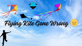 Flying Kite Gone Wrong 😑 [upl. by Lrub]