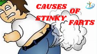 Causes of Stinky Farts [upl. by Kendrah413]