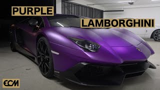 😈 PURPLE LAMBORGHINI 😈 [upl. by Eveline]