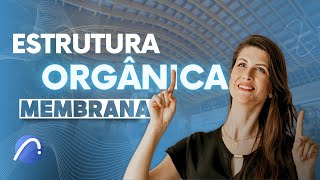 COBERTURA COM ESTRUTURA ORGÂNICA CURVA NO ARCHICAD UTILIZANDO A MEMBRANA FÁCIL E RÁPIDO [upl. by Nnaeilsel]