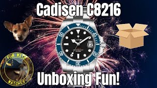 Cadisen C8216 Automatic Dive Style Watch Unboxing Fun [upl. by Dracir]