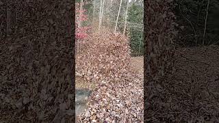 Ferris FB 3000 Stand On Leaf Blower POV [upl. by Capone413]