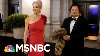 The Bizarre World Of Kellyanne Conway amp George Conway  Deadline  MSNBC [upl. by Melany257]