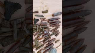 Cretaceous belemnite filled sediments [upl. by Philip]