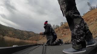 6lbs spotted bass at Millerton lake CA [upl. by Prudie]