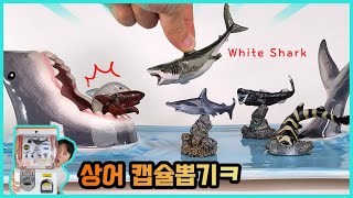 특이한 상어 캡슐뽑기ㅋㅋ 백상아리 귀상어 고래상어 포함  히히튜브 [upl. by Erlandson]