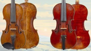 Aguttes Auctions  Violins Violas Cellos and Bows  30th November 2024 France auction review [upl. by Neall744]