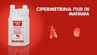 Cipermetrina Pour On  Antiparasitário externo [upl. by Yelime603]