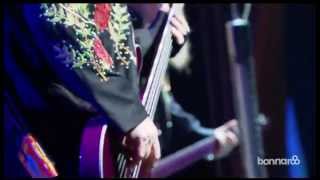 ZZ Top  Live at Bonnaroo 2013 [upl. by Brande57]