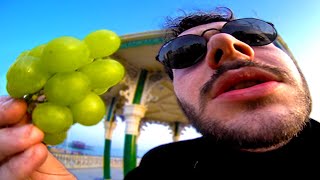 James Marriott  Grapes Official Music Video [upl. by Sakiv]