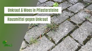 Unkraut amp Moos aus Fugen und Pflastersteinen entfernen  Hausmittel gegen Unkraut  Gartentipps [upl. by Eniamart]