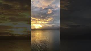 Sunsets baywalkshortvideosubscribe [upl. by Zins]