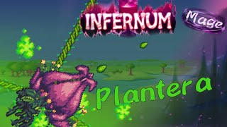 Plantera Infernum mode  Mage  Terraria Calamity  yeshit [upl. by Ailenroc212]